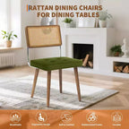 Sedia da pranzo con schienale in rattan e seduta imbottita (set da 2)